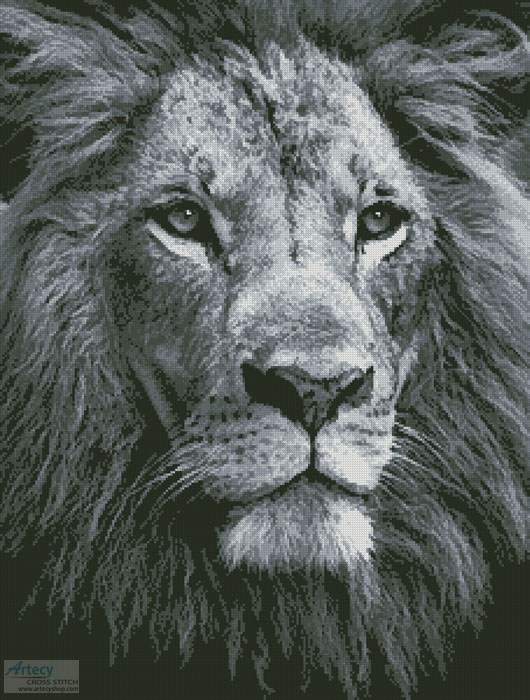 (image for) Lion Close Up Black And White